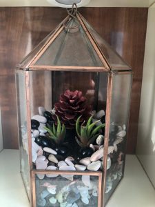 terrarium minupandit 2021