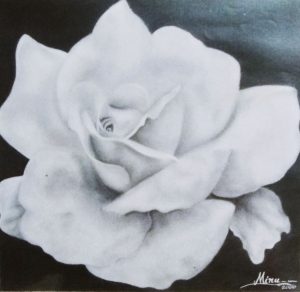 white rose minupandit