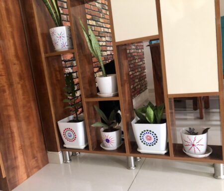 Indoor plant display with decorative pots on wooden shelves in modern interior.